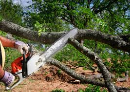 Best Utility Line Clearance  in Lehighton, PA