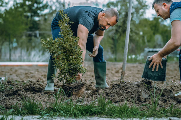 Best Weed Control  in Lehighton, PA